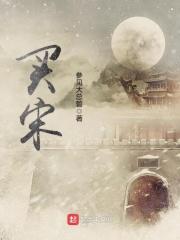 买宋还是宋pro