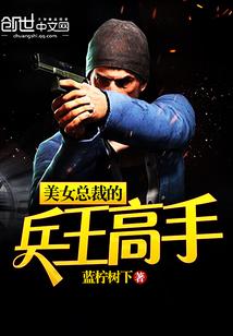 兵王美女总裁系列