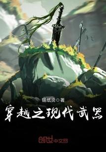 穿越之现代武器动画片