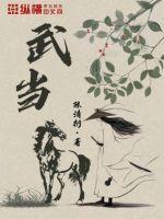 武当太极传人李在峰谈养生