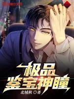 神品鉴宝师