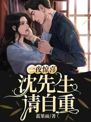 一夜惊喜沈先生请自重最新