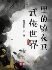 主角是锦衣卫武功高的