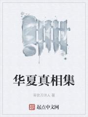 华夏集是什么