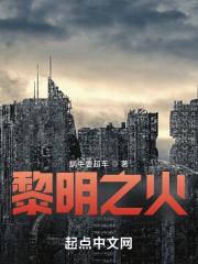黎明之火密谋第三关