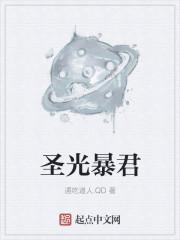 圣光大君