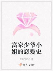 富家少爷与小丫鬟百科