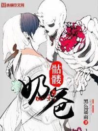 骷髅奶爸番外篇怎么没了