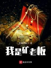 电视剧 我是老板