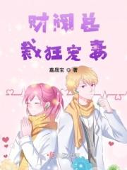 类似四大财阀总裁