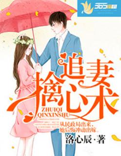 腹黑邪少追悍妻免费阅读
