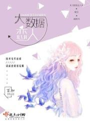 大数据fink