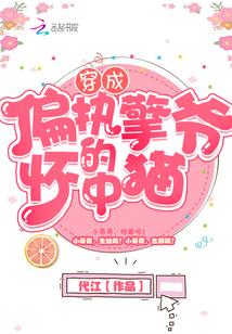 都市无弹窗