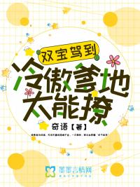 冷傲王爷追妻忙