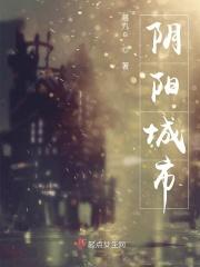 带阳阴的城市
