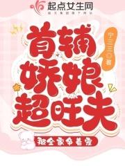 首辅娇娘516