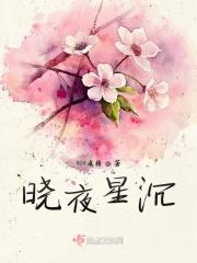 星夜破晓什么意思