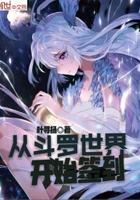从斗罗世界开始的签到