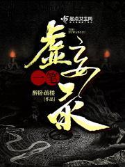 一笔虚妄录txt盘