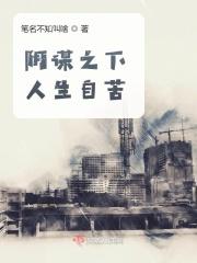 阴谋什么
