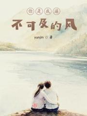 你是我遥不可及的人歌词