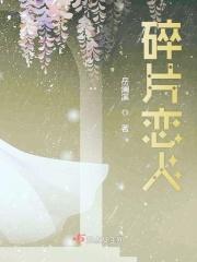 碎片是什么意思啊