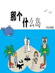 什么岛屿好玩