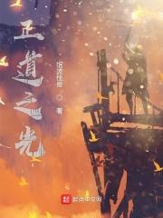 正道之光什么意思啊