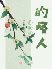 红楼之路人甲的悠闲人生