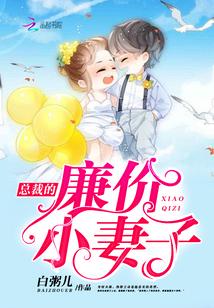 总裁的天价小妻子无弹窗阅读