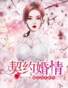 契约婚情陆家txt