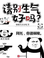 请别生气好吗txt