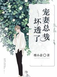 宠妻总裁坏透了全免目录