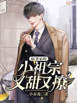 陆少的小祖宗又甜又撩无时