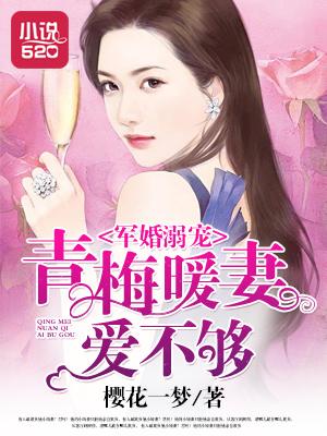 盛世暖妻慕宝宝全文免费