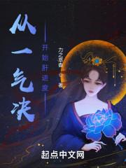 从一气决开始肝进度TXT