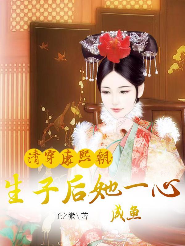 清穿和康熙生了好多孩子的