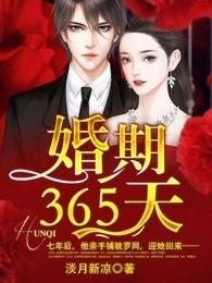 婚期365天霍靳北最后和谁在一起了