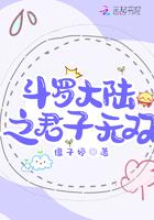 斗罗大陆之天下无尊