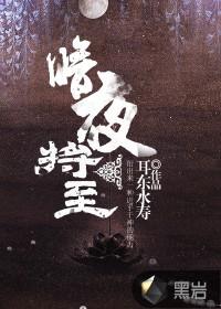 暗夜将至有沈辣