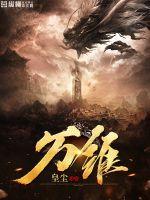 万唯高中版叫什么
