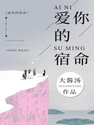 爱你的宿命歌词翻译中文