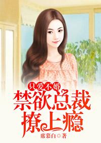 只爱不婚禁欲总裁撩上瘾 无删减
