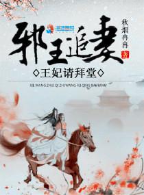 邪王追妻王妃又爬墙了