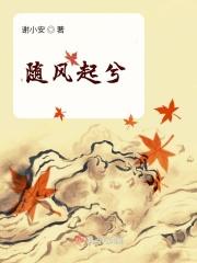 随风起舞是什么歌