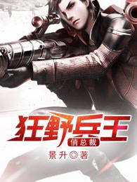 兵王狂少