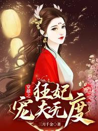 穿越之狂妃很彪悍
