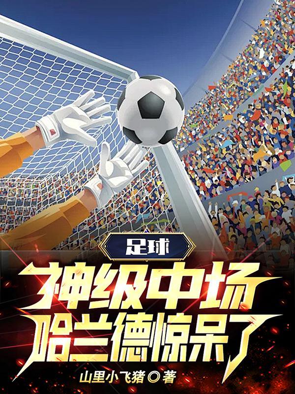 足球神级中场哈兰德惊呆了 山里小飞猪笔趣阁