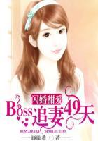 闪婚boss太凶猛免费阅读全文