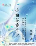 重生之小白花